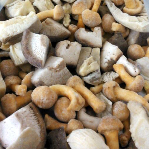 IQF mixed mushrooms