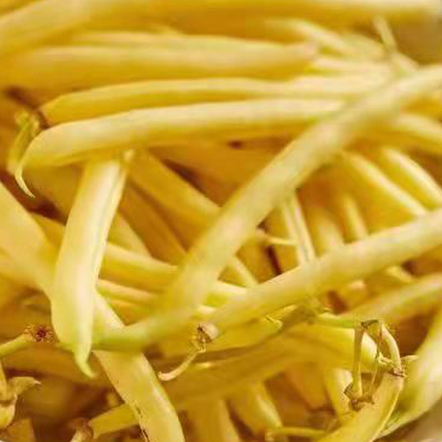 IQF wax beans