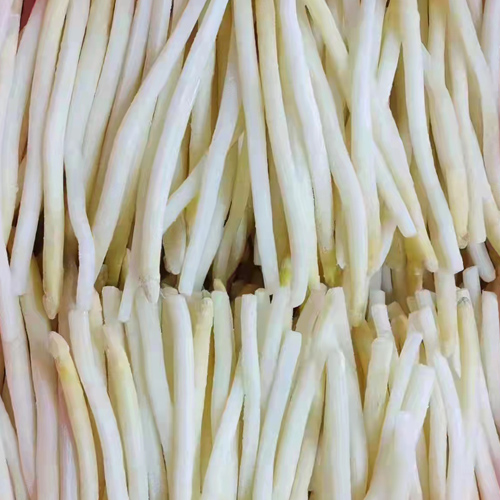 IQF white asparagus spears