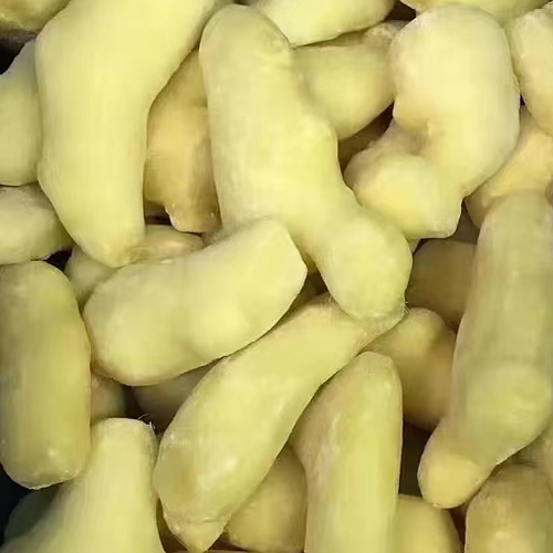 IQF peeled ginger cubes