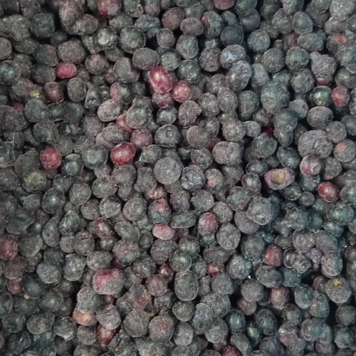 IQF blueberries