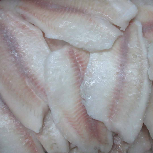 Frozen tilapia fillets