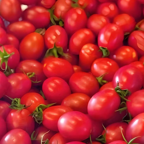 Fresh cherry tomato